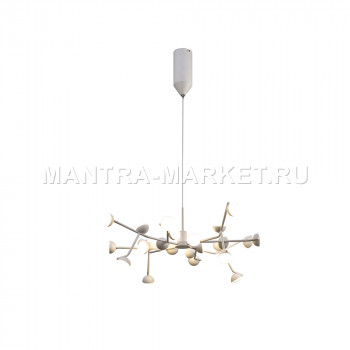  MANTRA ADN 6261