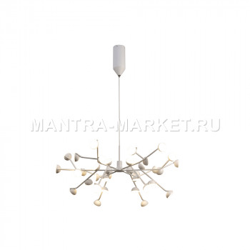  MANTRA ADN 6260