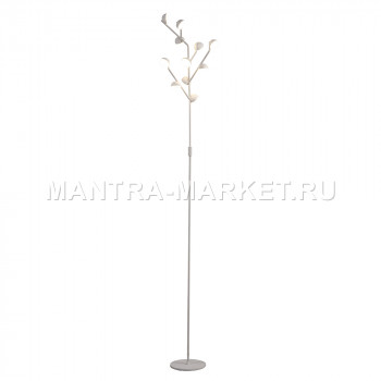  MANTRA ADN 6268