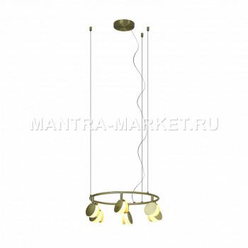   Mantra SHELL 7262
