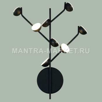 MANTRA ADN 6419